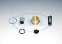 Kurutucu Tahliye Tamir Takımı - Volvo F10, F12 B10M / Oem: 432 430 923 2