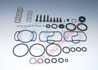 Park Ve Boşaltma Valfi Tamir Takımı - Dorseler