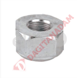 Bijon Somunu - Magırus