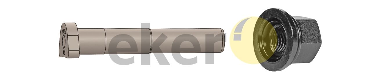 Bijon - Ford / Arka