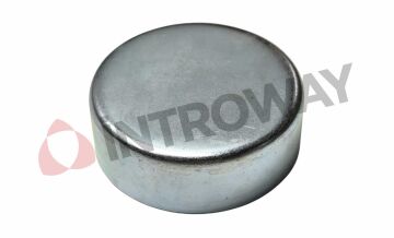 Kaliper Perno Tapası - Knr 990165, 15043