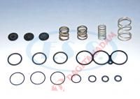 Ecas Valfi Tamir Takımları - Renault Vı Premıum