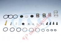 Ecas Valfi Tamir Takımları - Renault Vı Premıum