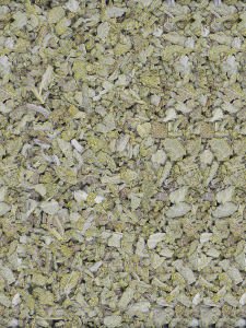 Adaçayı Yaprağı Salvia Officinalis
