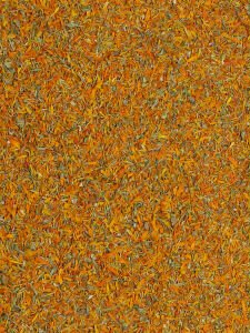Aynısafa Calendula Officinalis