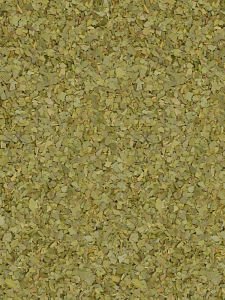 Defne Ağacı Yaprağı Laurus Nobilis