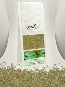 Defne Ağacı Yaprağı Laurus Nobilis