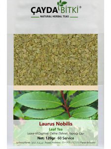 Defne Ağacı Yaprağı Laurus Nobilis