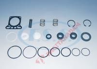 Ebs Fren Modülü Tamir Takımı - Renault Vı Premıum,Magnum - Ebs5