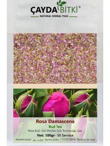 Gül Tomurcuğu Rosa Damascena