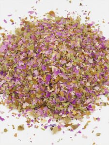 Gül Tomurcuğu Rosa Damascena