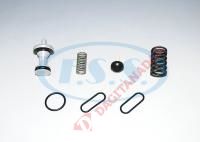 Kurutucu Tahliye Tamir Takımı - Volvo / Oem: Iı362480061