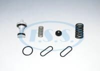 Kurutucu Tahliye Tamir Takımı - Volvo / Oem: Iı362480061