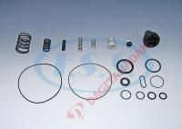 Kurutucu Tahliye Tamir Takımı - Man F/L/M 2000 / Oem: Iı19327008