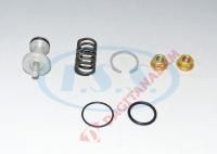 Kurutucu Tahliye Tamir Takımı - K066243K50 - Man-Mercedes- Volvo- Iveco- Daf-Renault Vı