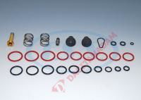 Ecas Valfi Tamir Takımları - Scanıa