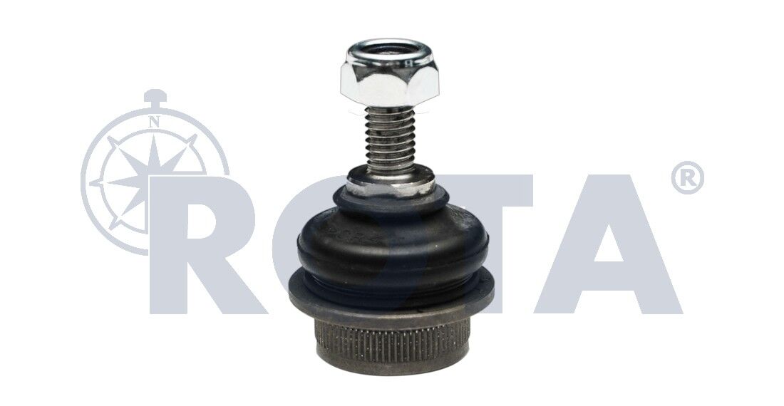 Rotil  –  Daf