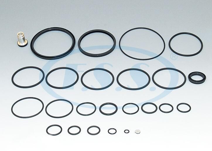 Dorse Kontrol Valfi Tamir Takımı - Daf 65, 75, 85, 95 / Oem: 973 008 001 2