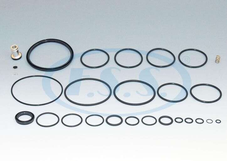 Dorse Kontrol Valfi Tamir Takımı - Mercedes - Man Tga / Oem: 973 009 001 2