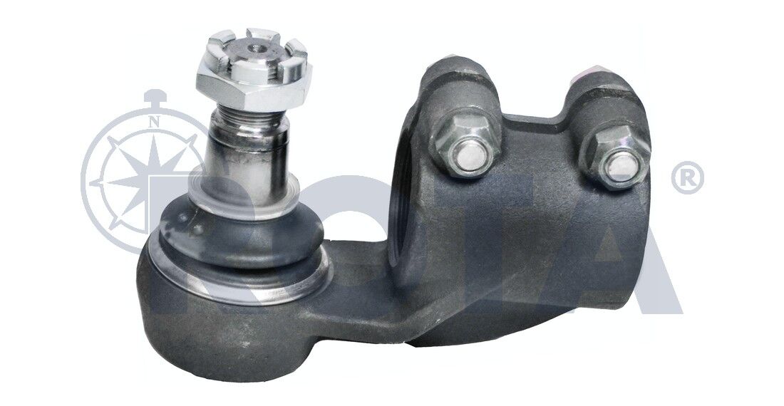 Rot Başı - Daf / 606922