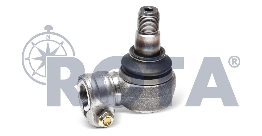 Rot Başı / 3151859