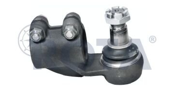 Rot Başı - Daf / 606923