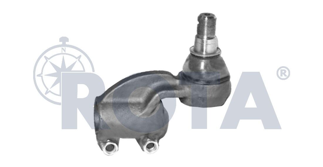 Rot Başı - Daf / AMPA004