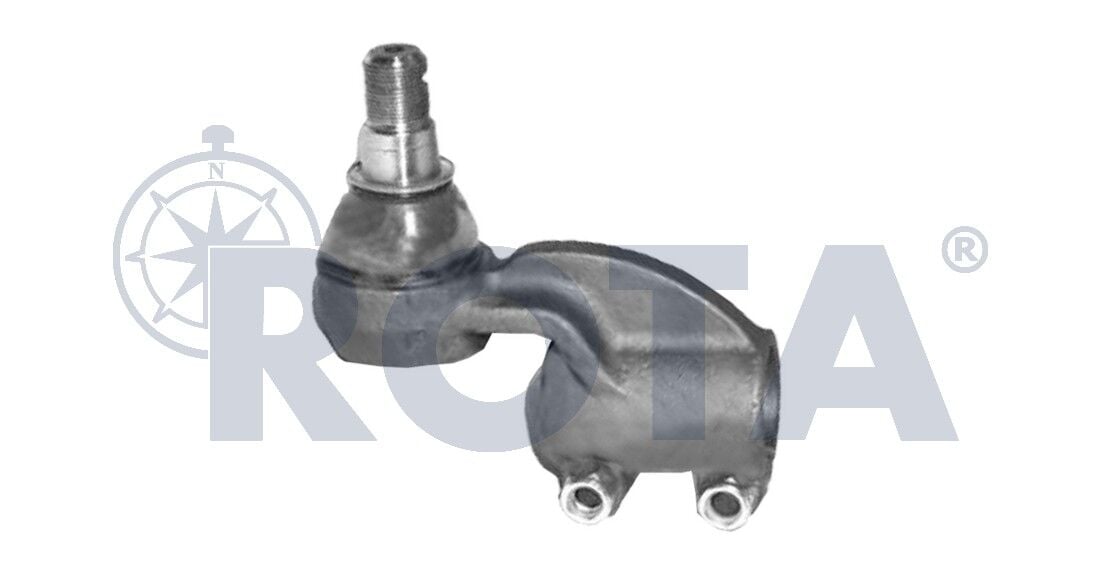 Rot Başı - Daf / AMPA005