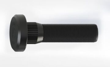 Bijon - Daf / Arka