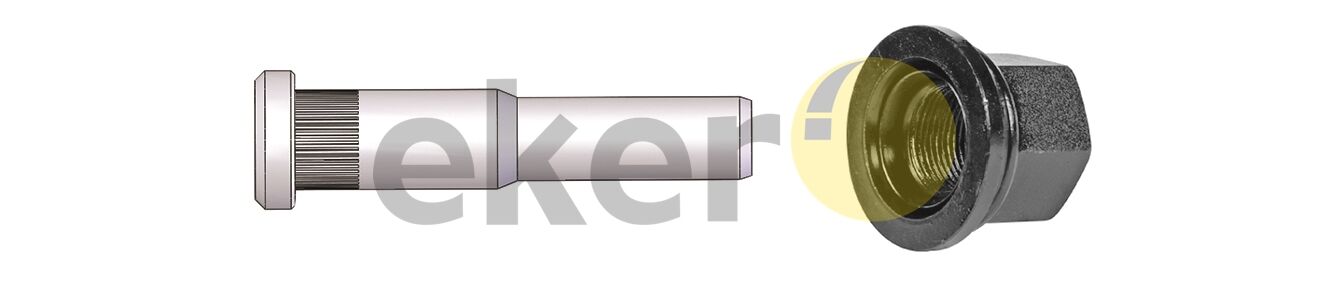 Bijon - Volvo / Arka