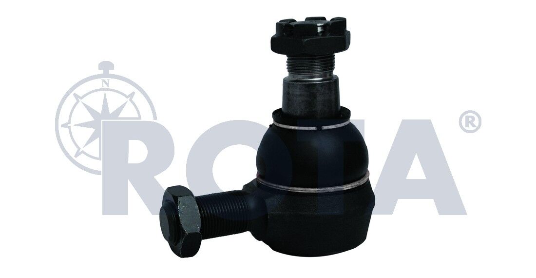 Rot Başı - Daf / 0648637 - 1399725