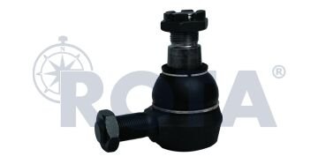 Rot Başı - Daf / 0648637 - 1399725