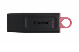 EXODİA KINGSTON - 256GB USB3.2 GEN1 DTX/256GB