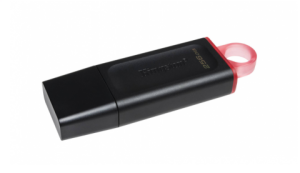 EXODİA KINGSTON - 256GB USB3.2 GEN1 DTX/256GB