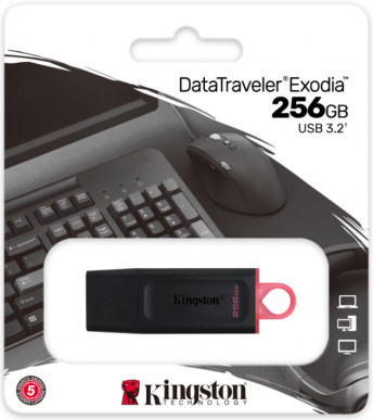 EXODİA KINGSTON - 256GB USB3.2 GEN1 DTX/256GB