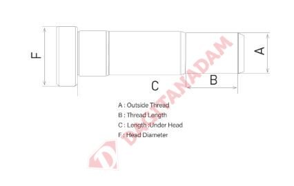 Bijon - Ön - Magırus