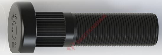 Bijon - Disk - Arka - Farklı Frezeli - Man Tga