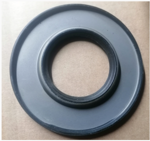 Aks Keçesi - Arka Porya Dış