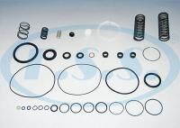 Kurutucu Tahliye Tamir Takımı - Man - Volvo - Mercedes - Iveco - Renault / Oem: Iı36247008