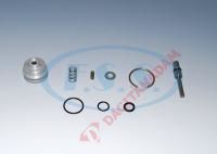 Kurutucu Tahliye Tamir Takımı - Renault Vı / Oem: Iı362450061