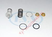 Kurutucu Tahliye Tamir Takımı - K066243K50 - Man-Mercedes-Volvo-Iveco-Daf-Renault Vı