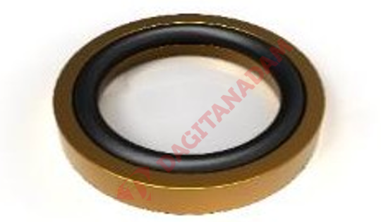 Rakor Oringli Pul - M14