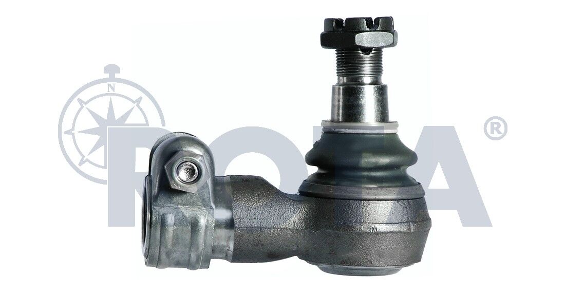 Rot Başı - Scanıa / 357396